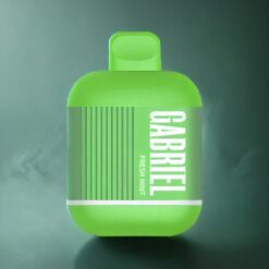 UWELL GABRIEL BE6000 Pod-system Frisk Mynte – 13 ml, 1.2 ohm Nettspiral, 500 mAh – Norge grossist