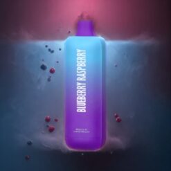 Wotofo nexBar 7000 Puffs Norge grossist Engangs Vape Blåbær Bringebær – 14ml, 500mAh, Type-C