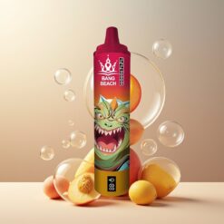 Bang Beach 22000 Puffs Norge grossist Engangsvaper Fersken Is 36ml 650mAh 0-5% Nikotin