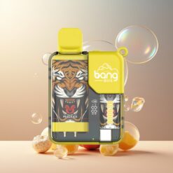 Bang Box 9000 Puffs Engangsvape Fersken Is Norge Grossist – 14ml, 650mAh, Type-C, 0-5% Nikotin