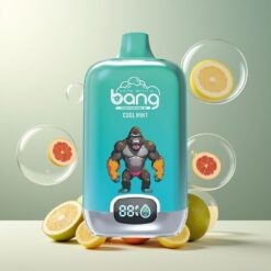 Bang Digital Box 15000 Puffs Norge Grossist Disposable Vape Kjølig Mynte – 15ml E-liquid, Type-C Lading, 550mAh, Digital Skjerm