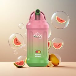 Bang King 12000 Puffs Norge Grossist Vannmelon Tyggegummi Disposable Vape 23ml 650mAh 1.2 Ohm Mesh Coil