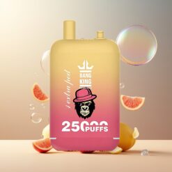 Bang King 25000 Puffs Norge Grossist Engangsvape Juicy Peach Is 46ml 650mAh Type-C