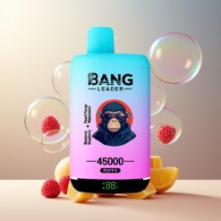 Bang Leader 45000 Puffs Norge grossist Disposable Vape Blåbær Bringebær Fersken Mango Vannmelon med Smart Skjerm og Type-C