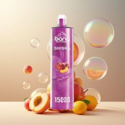 Bang Shisha 15000 Puffs Engangs Vape Juicy Peaches Norge Grossist – 23ml E-liquid, Type-C Lading, 600mAh Batteri, 0-5% Nikotin