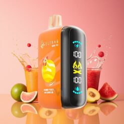 ELF BAR RAYA D3 25000 Puffs Norge Grossist Disposable Vape Mango Fersken Vannmelon (23ml, 5%, Type-C)