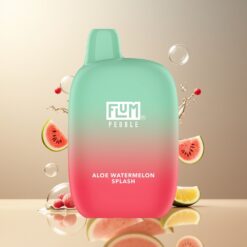 FLUM Pebble 6000 Puffs Norge Grossist Aloe Vannmelon 10ml 5% Nikotin 500mAh Mesh Coil Type-C