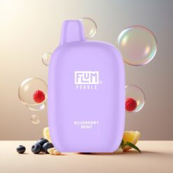 FLUM Pebble 6000 Puffs Norge Grossist Blåbær Mynte 10ml 5% 500mAh Mesh Type-C