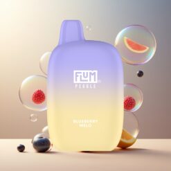 FLUM Pebble 6000 Puffs Norge Grossist Disposable Vape Blåbær Melon 10ml 5% 500mAh Mesh Type-C