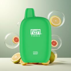 FLUM Pebble 6000 Puffs Norge Grossist Disposable Vape Kjølig Mynte – 10ml/5%, 500mAh, Mesh Coil, Type-C