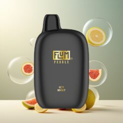 FLUM Pebble 6000 Puffs Norge Grossist Iskald Mynte 10ml 5% 500mAh Mesh Type-C