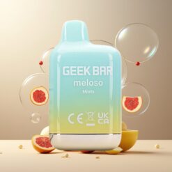 GEEK BAR Meloso Mini 600 Puffs Norge grossist Disposable Vape Mints 2ml 20mg saltnikotin Dual Mesh 50VG/50PG