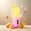GEEK BAR Meloso Ultra Norge Grossist 10000+ Puffs USB-C 5% Nikotin Nektarin