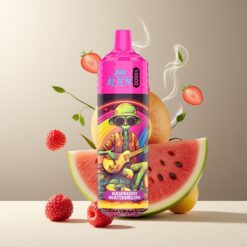 JNR Alien 10000 Puffs Norge Grossist Disposable Vape Bringebær Vannmelon – 850mAh, Type-C, RGB