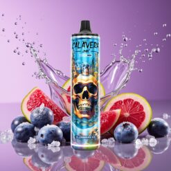 JNR Calavera 11000 Puffs Norge Grossist Disposable Vape Blåbær Is – Type-C, 850mAh, 21ml, 1.0ohm
