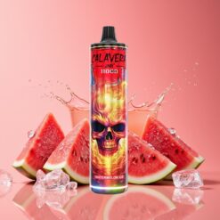 JNR Calavera 11000 Puffs Norge Grossist Disposable Vape Vannmelon Is – Type-C, 850mAh, 21ml, 1.0ohm