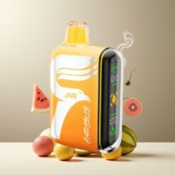 JNR Capsule 15000 Puffs Norge Grossist – Vannmelon Isbær (20ml, 850mAh, Type-C, 2%/5%)
