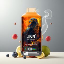 JNR Falcon X 18000 Puffs Norge Grossist – Blåbær Kiwi, 24ml, 750mAh, Type-C