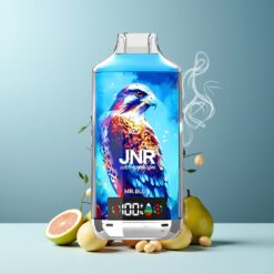 JNR Falcon X 18000 Puffs Norge grossist – Mr. Blå, 24ml, Type-C, 5% Nikotin