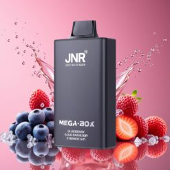 JNR Mega Box 25000 Puffs Norge Grossist – Blåbær Sur Bringebær (30ml, 850mAh, Type-C)