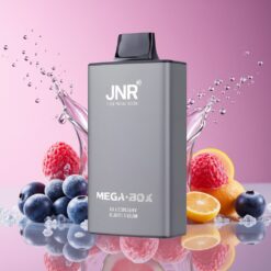 JNR Mega Box 25000 Puffs Norge Grossist – Blåbær Tyggegummi, 30ml, 850mAh, Type-C