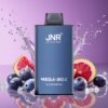 JNR Mega Box 25000 Puffs Norge Grossist Engangs Vape Blåbær Is 30ml 850mAh