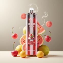 JNR Shisha Hookah 12000 Puffs Norge Grossist – Kirsebær Vannmelon Freeze (0%/2% Nikotin, 24ml, Type-C, 750mAh)