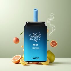 LAVIE Aurora 11000 Puffs Engangsvaper Mynte – Norge Grossist – 22ML, 650mAh, Type C