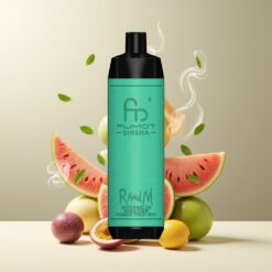 RandM Fumot Shisha 10000 Puffs Norge grossist Disposable Vape Vannmelon Honningmelon Passionsfrukt Mynte 18ml 850mAh Type-C