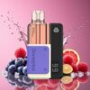 Snowplus Swift 5000 Puffs Prefilled Pod Kit Blåbær Sur Bringebær Norge grossist – 1000 mAh, 2+10 ml, 2% nikotin