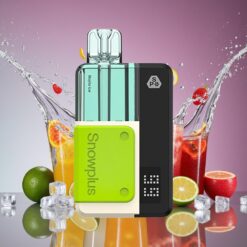 Snowplus Swift 5000 Puffs Prefilled Pod Kit Mojito Is Norge grossist – 1000 mAh, 2+10 ml, 2%