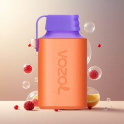VOZOL GEAR 600 Engangs Vape Tranebær Drupe Is Norge Grossist – Barnebeskyttelse, 600 Puff, Type-C Lading, 20mg/ml Nikotin