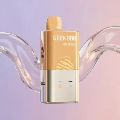 GEEK BAR UP 10000 Forhåndsfylt Pod Kit 10K puff 20mg 2ml+10ml Norge grossist